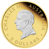 Australian Kangaroo 2024 2oz Silver Proof Reverse Gilded Coin