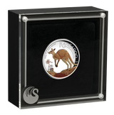 Australian Kangaroo 2024 1oz Silver Proof High Relief Coloured Coin