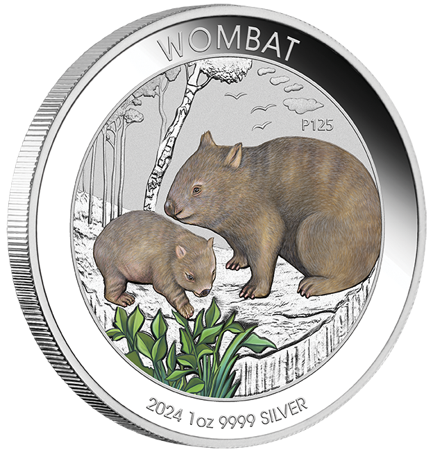 Wombat 2024 1oz Silver Coloured Coin in Card