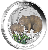 Wombat 2024 1oz Silver Coloured Coin in Card