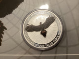 2024 $1 Coloured Silver Coin. Wedge-Tailed Eagle on Card.