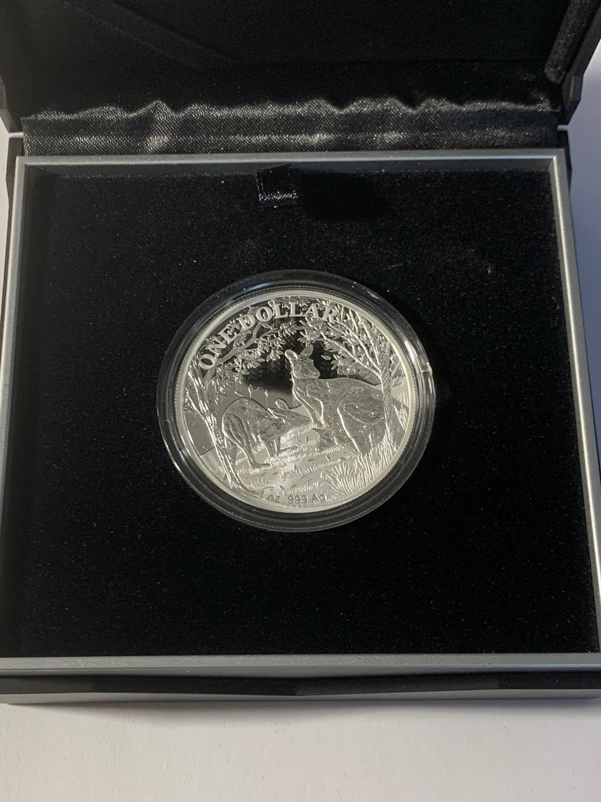 2019 $1 Kangaroo Series Fine Silver Proof Coin. Seasons Change.