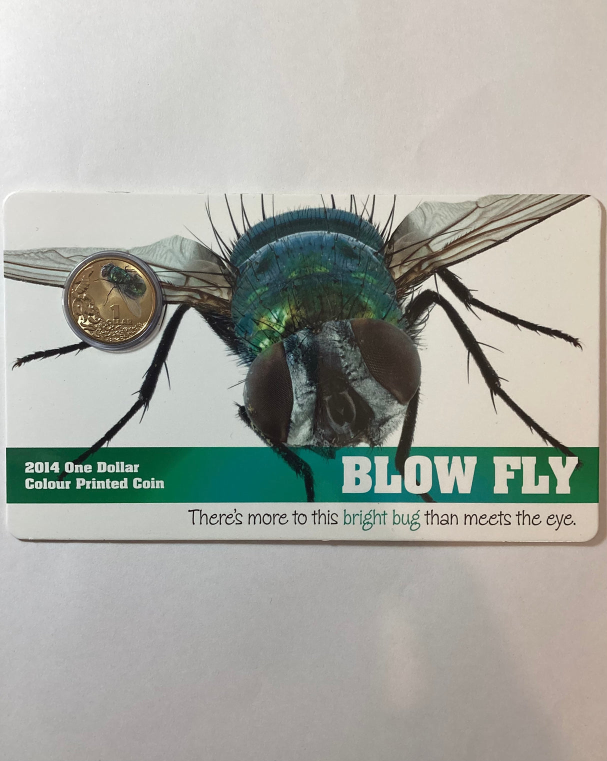 2014 $1 Blow Fly Colour Printed Coin