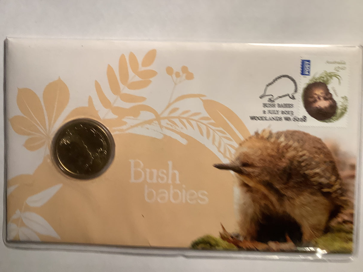 2013 PNC Bush Babies: Echidna