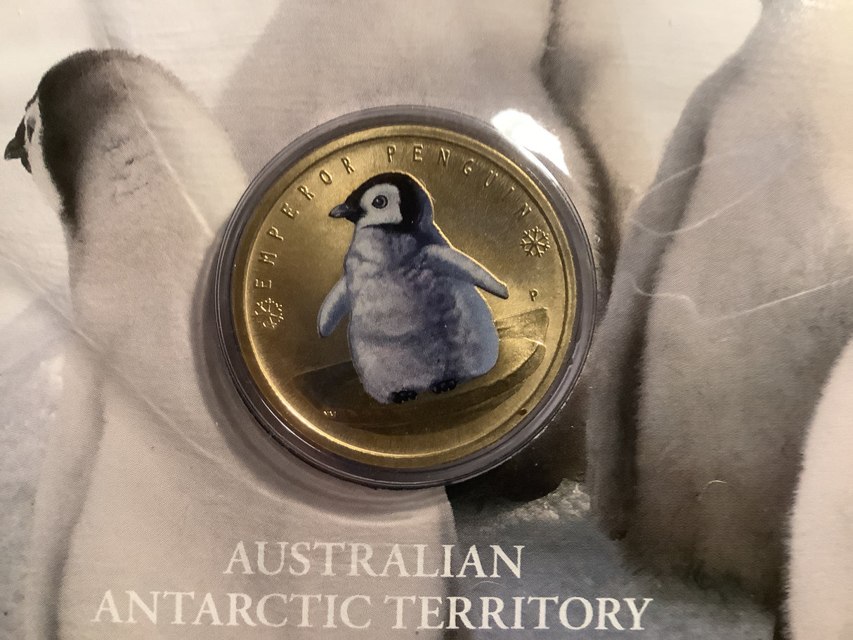 2017 PNC Australian Antarctic Territory. Emperor Penguins.