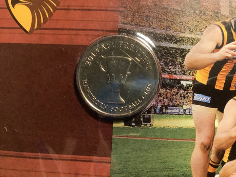 2013 PNC AFL Premiers Hawthorn.