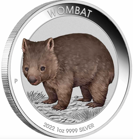 2022 Australian Wombat $1 Coloured 1oz Coin in Card.