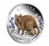 2022 Quokka 1oz Silver Proof Coloured Coin